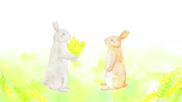 ミモザの花束をプレゼントする可愛らしいうさぎのアニメーション。水彩イラストを使用した春らしい映像。
