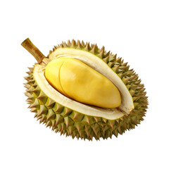Durian isolated on transparent background