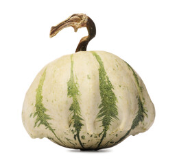 One fresh ripe pumpkin isolated on white