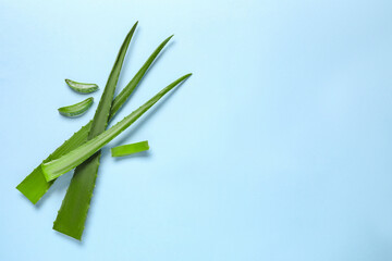 Cut aloe vera leaves on light blue background, flat lay. Space for text