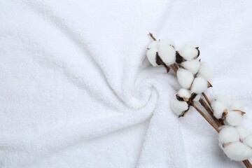 Fototapeta na wymiar Cotton flowers on white terry towel, top view