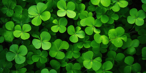 green clover leaves for Saint Patrick's day