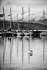 Bateaux amarrés dans la rade de Genève