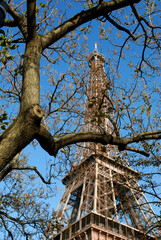 The Eiffel tower of Paris in France behind a leafless tree on the blue sky background