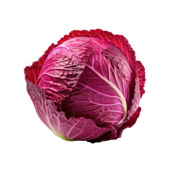 Obraz premium Red cabbage on transparent background. Design for organic shops, grocery shops and markets.