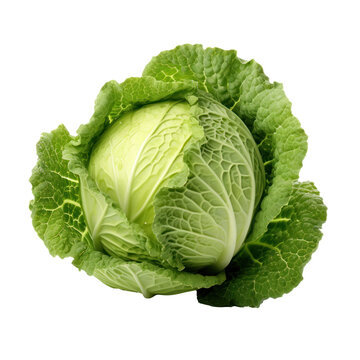 Green gabbage on transparent background, healthy eating concept.