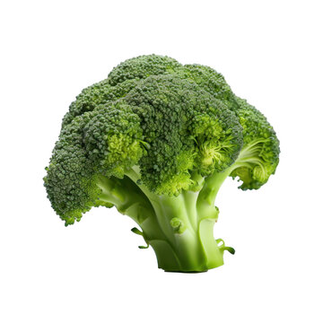 Broccoli head on transparent background.