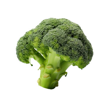 Floret of broccoli isolated on transparent background. Design for packaging, menu, online shop and market.