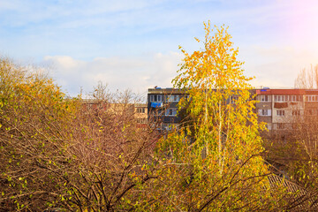 Autumn trees. Background with selective focus and copy space