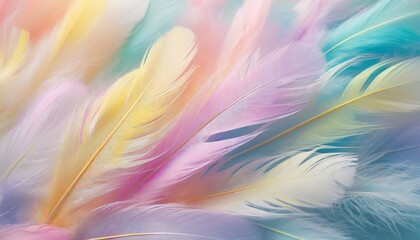 Fototapeta na wymiar pastel colour feather abstract background