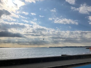 2023年2月20日 三浦半島