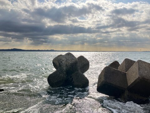 2023年2月20日 三浦半島 (338).
