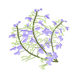 Gupasa flower illustration