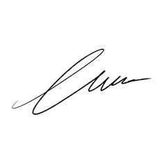 Abstract signature idea starting letter L. Vector with black writing and transparent background.