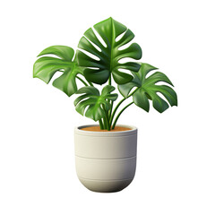 3D Monstera Plant in Pot Isolated On Transparent Background