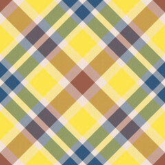 Plaid pattern vector. Check fabric texture. Seamless textile design for clothes, paper print.