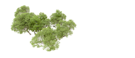 Obraz premium Green forest isolated on background. 3d rendering - illustration