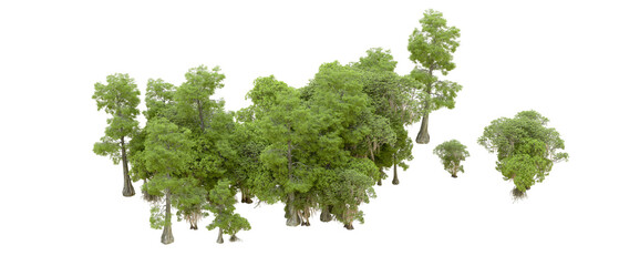 Green forest isolated on background. 3d rendering - illustration