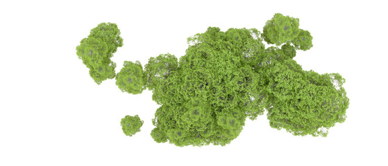 Green forest isolated on background. 3d rendering - illustration