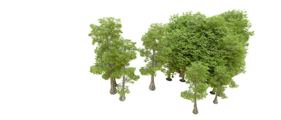 Green forest isolated on background. 3d rendering - illustration