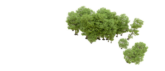 Green forest isolated on background. 3d rendering - illustration