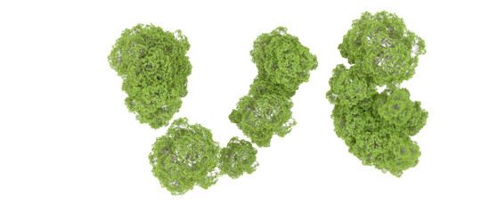 Green forest isolated on background. 3d rendering - illustration