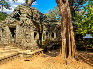 Ta Prohm, a mysterious temple of the Khmer civilization, located on the territory of Angkor in...