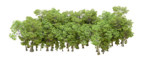 Green forest isolated on background. 3d rendering - illustration