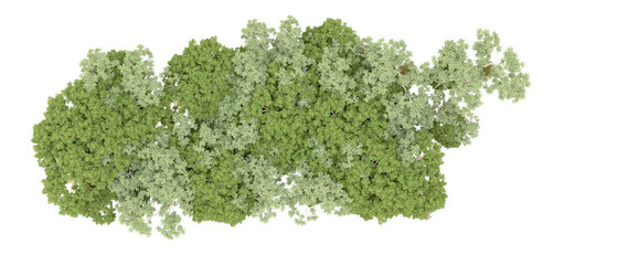Obraz premium Green forest isolated on background. 3d rendering - illustration