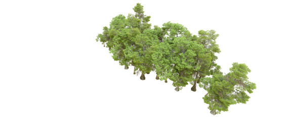 Obraz premium Green forest isolated on background. 3d rendering - illustration