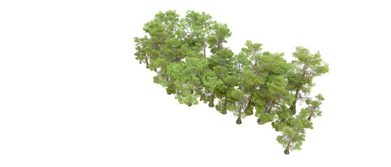 Obraz premium Green forest isolated on background. 3d rendering - illustration