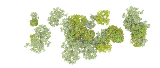 Green forest isolated on background. 3d rendering - illustration