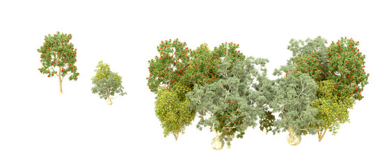 Green forest isolated on background. 3d rendering - illustration