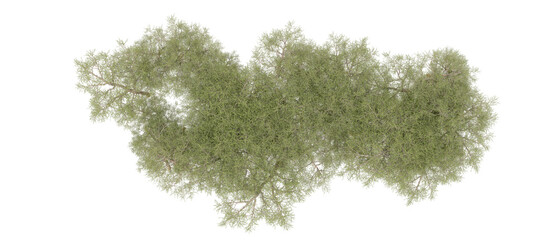 Fototapeta na wymiar Green forest isolated on background. 3d rendering - illustration