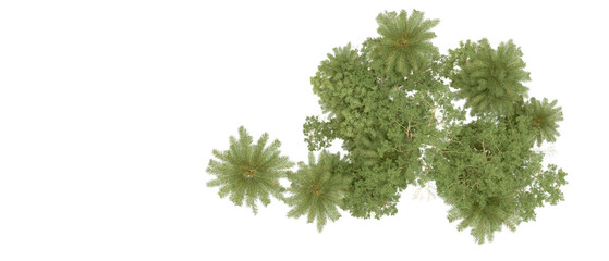Green forest isolated on background. 3d rendering - illustration
