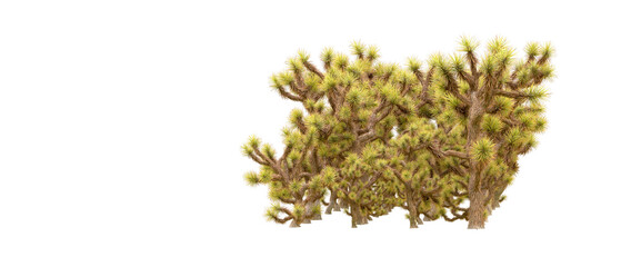 Green forest isolated on background. 3d rendering - illustration