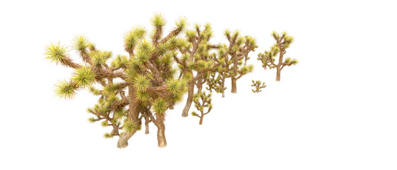 Green forest isolated on background. 3d rendering - illustration