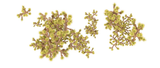 Obraz premium Green forest isolated on background. 3d rendering - illustration