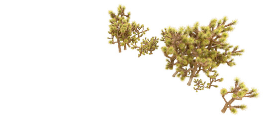 Green forest isolated on background. 3d rendering - illustration