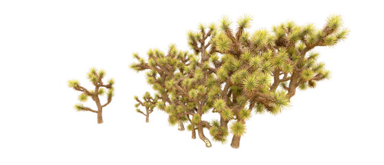 Green forest isolated on background. 3d rendering - illustration