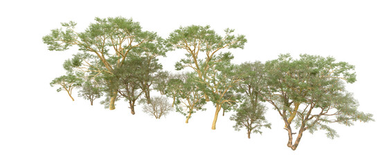 Green forest isolated on background. 3d rendering - illustration