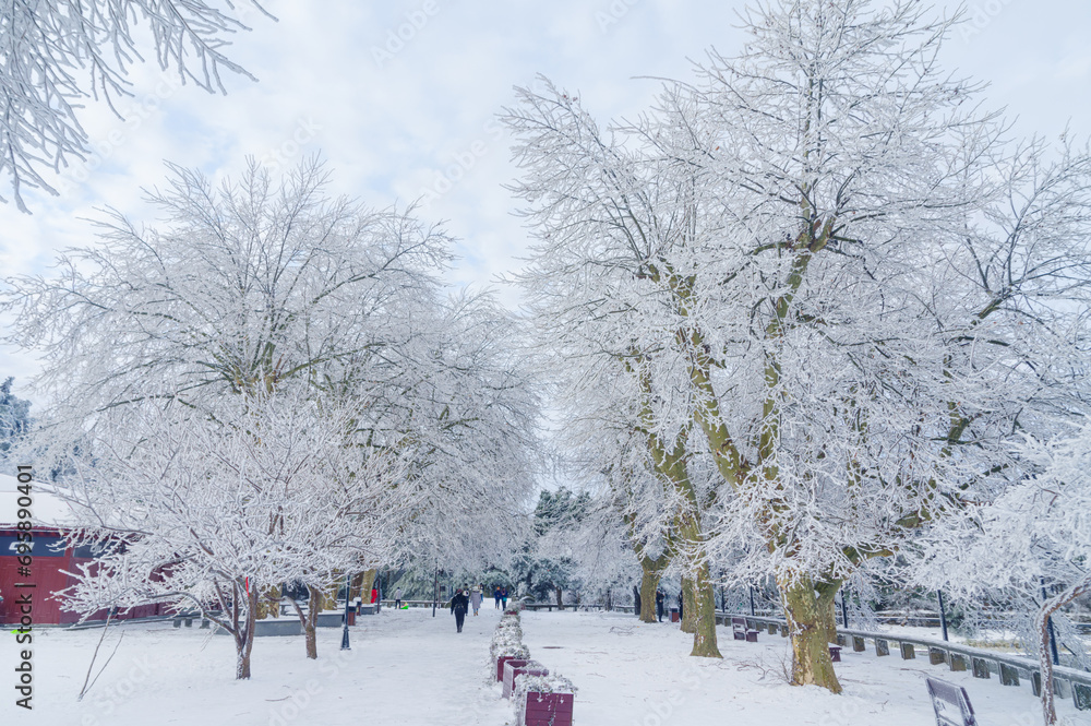 Wall mural Winter snow scene in Lushan/Mountain Lu National Park Scenic Area, Jiujiang, Jiangxi, China