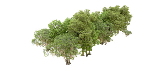 Green forest isolated on background. 3d rendering - illustration