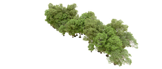 Green forest isolated on background. 3d rendering - illustration