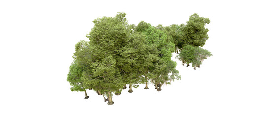 Green forest isolated on background. 3d rendering - illustration