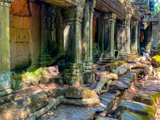 Ta Prohm, a mysterious temple of the Khmer civilization, located on the territory of Angkor in...