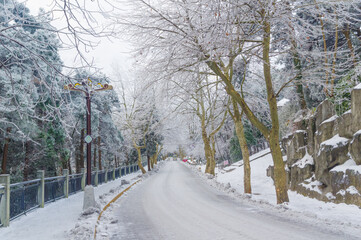 Winter snow scene in Lushan/Mountain Lu National Park Scenic Area, Jiujiang, Jiangxi, China