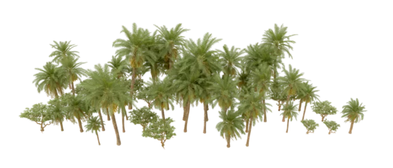 Deurstickers Green forest isolated on background. 3d rendering - illustration © Cristian