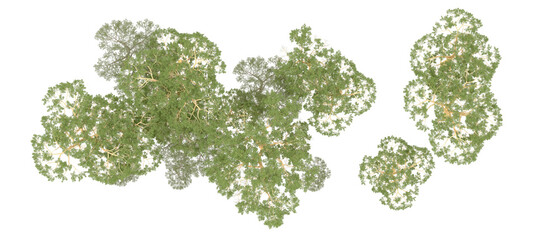 Green forest isolated on background. 3d rendering - illustration