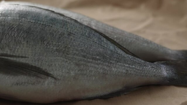 Dolly shot of Fresh Fish on a paper-covered surface. Selective focus, close-up.